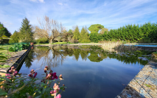 Propriété du XIX magnifique bâtisse sur un parc de plus d'un hectare et piscine - 17100 Bussac sur charente