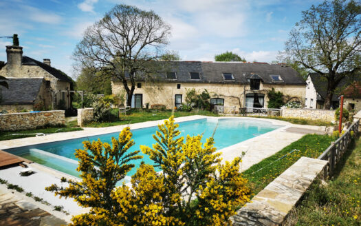 Maison de campagne avec gîtes insolites - 24590 Salignac eyvignes