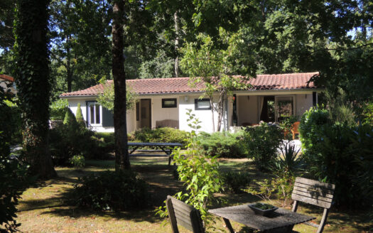 Maison en viager  occupé - 16220 Ecuras