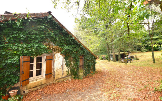 Maison de hameau - 24800 Thiviers